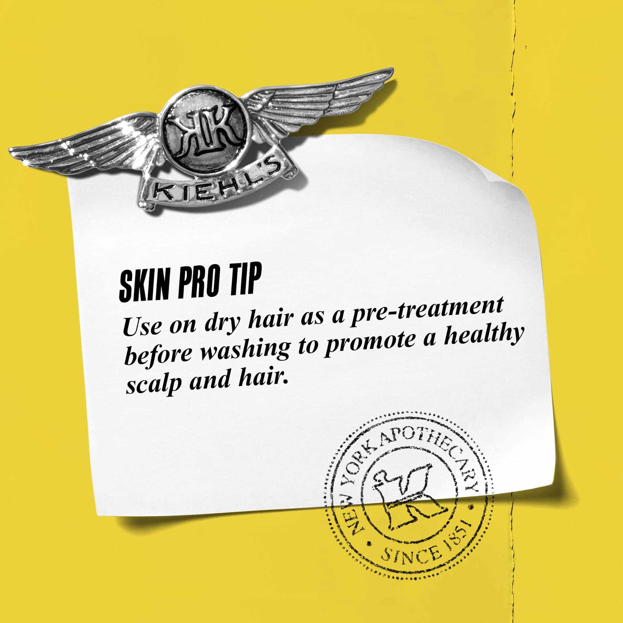 Grafico con el texto: "Consejo profesional: Usalo sobre el cabello seco como tratamiento previo al lavado para promover un cuero cabelludo y un cabello sanos."