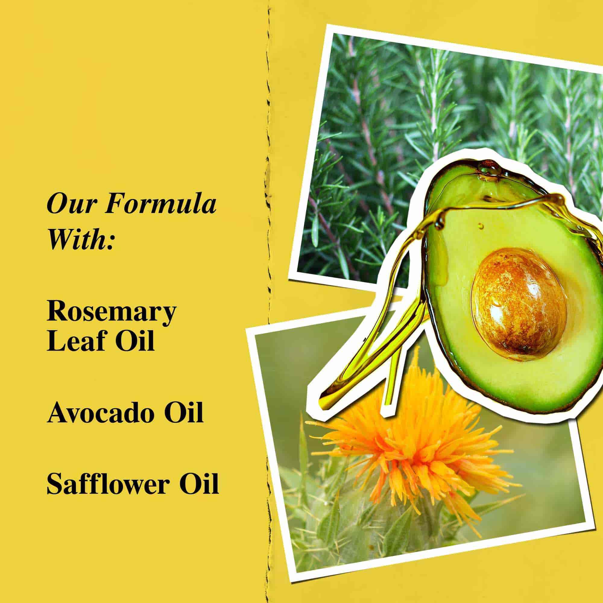 Grafico de ingredientes clave: aceite de hoja de romero, aceite de aguacate y aceite de girasol.
