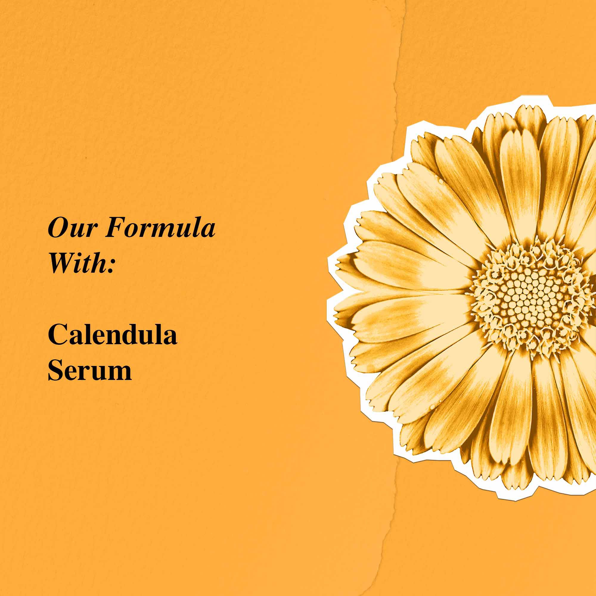 Calendula Serum-Infused Water Cream