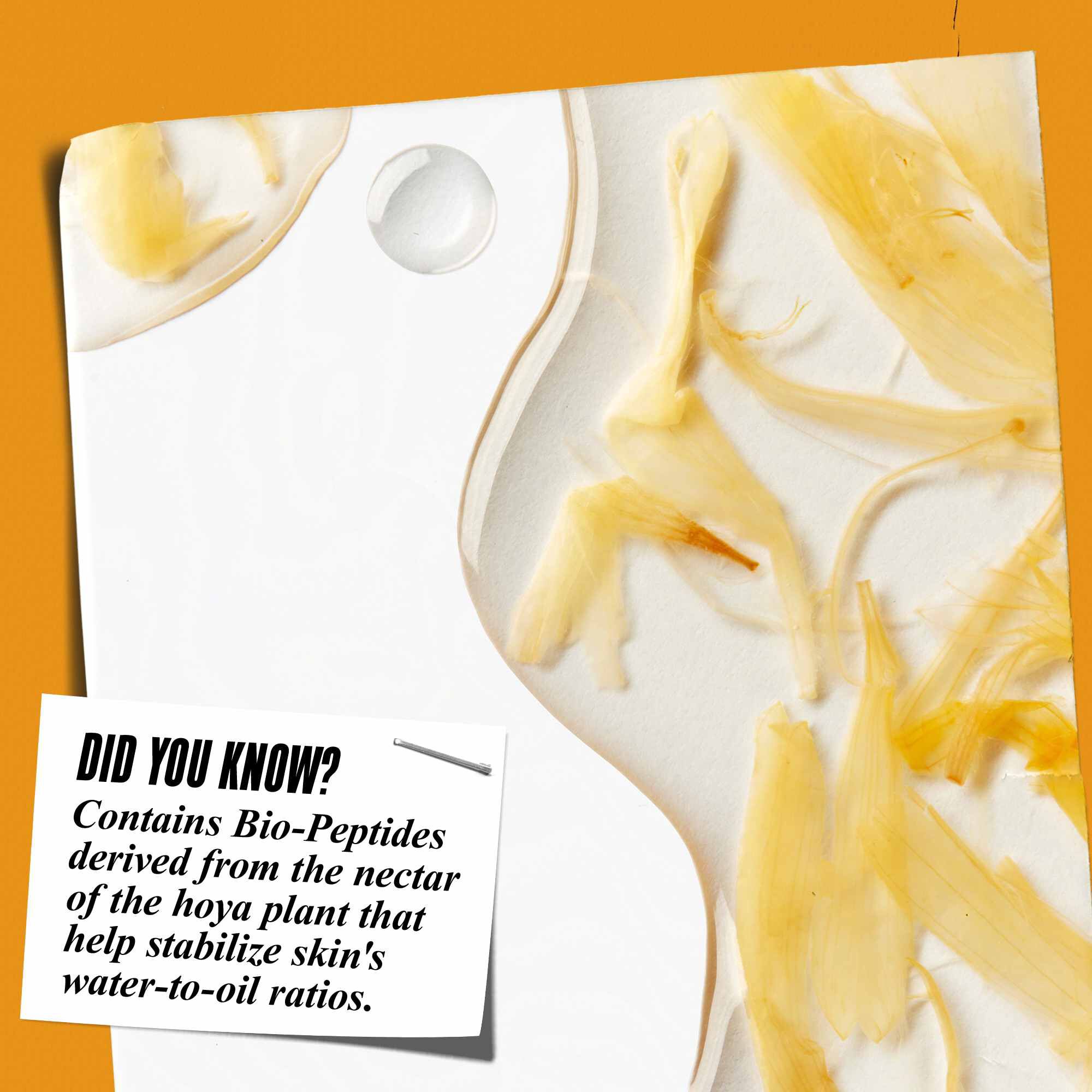 Primer plano de la textura del Calendula Herbal-Extract Toner con petalos de calendula y texto: "¿Sabias que? Contiene biopeptidos derivados del nectar de la planta hoya que ayudan a estabilizar la proporcion de agua y aceite de la piel."