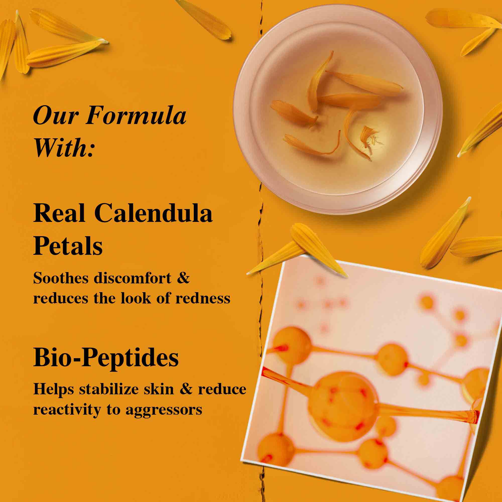 Petalos de flor de calendula.