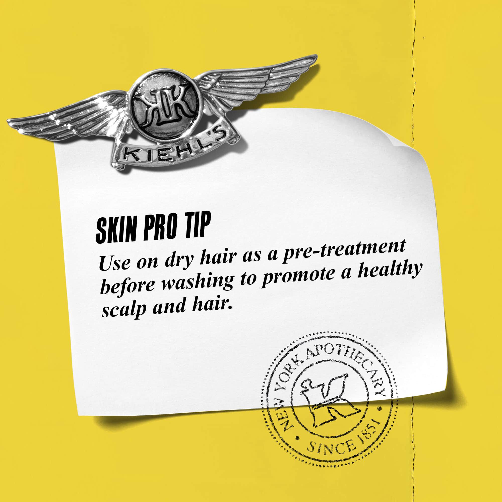 Grafico con el texto: "Consejo profesional: Usalo sobre el cabello seco como tratamiento previo al lavado para promover un cuero cabelludo y un cabello sanos."