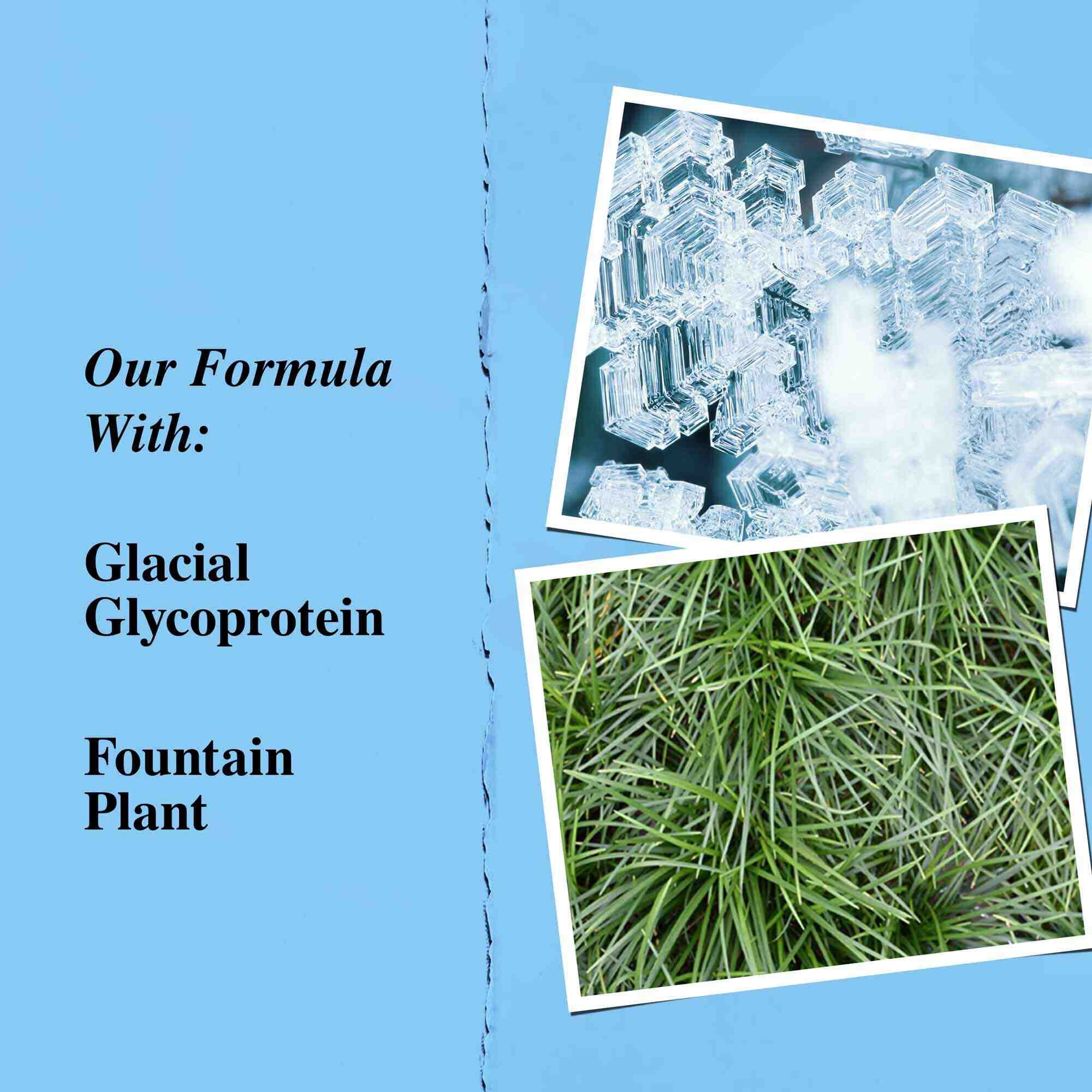 Grafico de ingredientes clave: glicoproteina glacial y planta fuente (fountain plant).