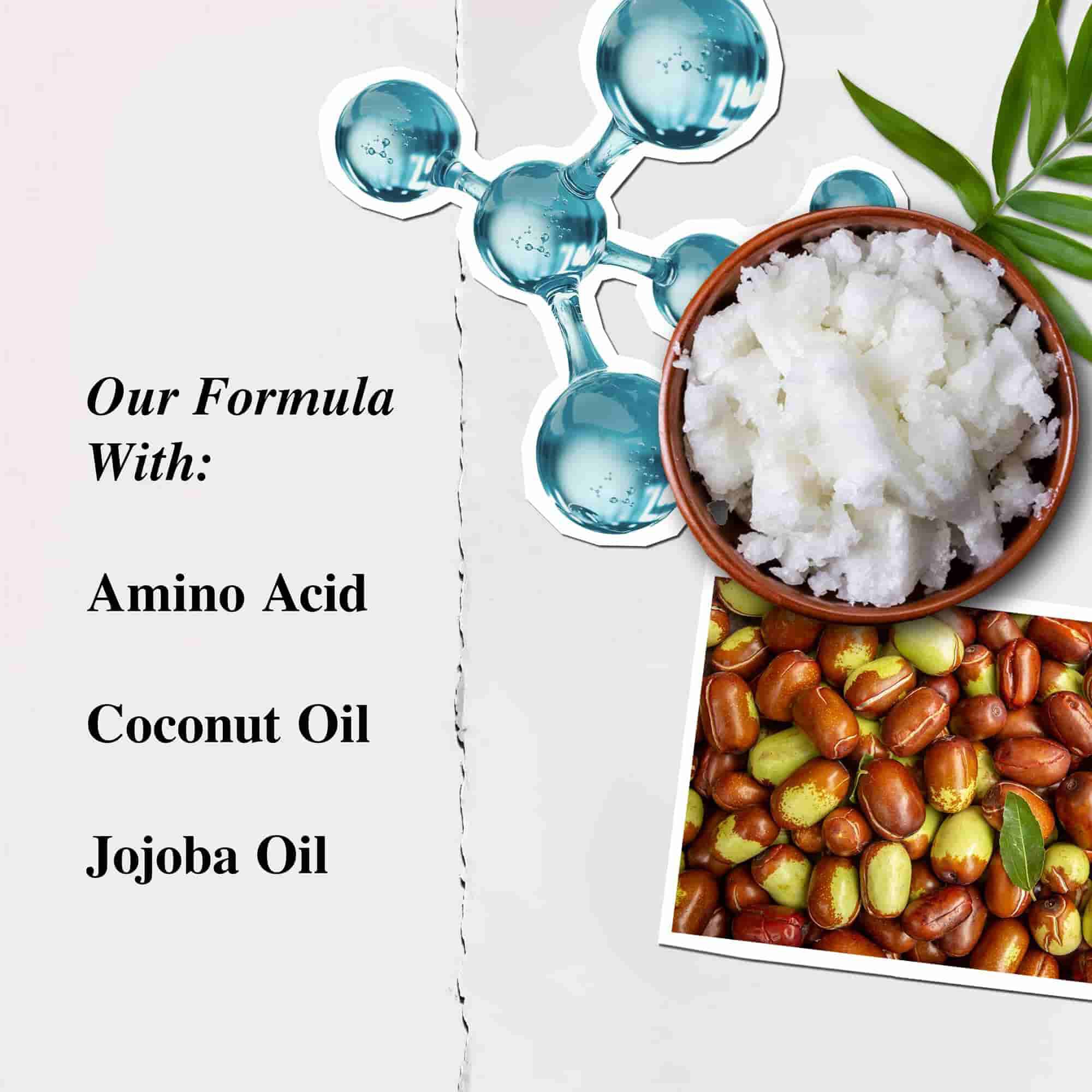 Ilustracion de ingredientes del acondicionador de aminoacidos de Kiehl's - Aminoacidos, aceite de coco, aceite de jojoba
