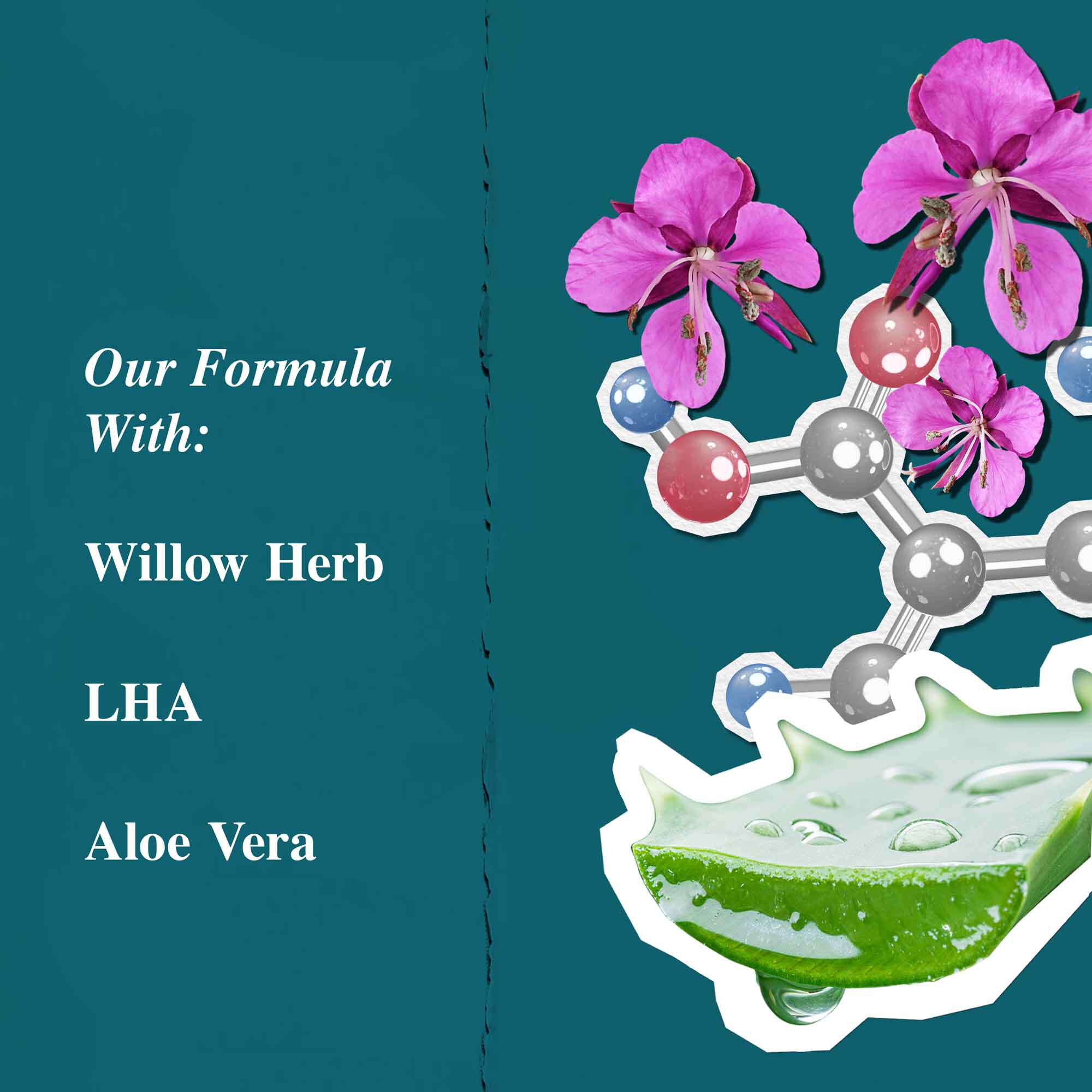 Grafico de ingredientes para Close Shavers Squadron Smooth Glider Precision Shave Lotion, destacando la hierba de sauce y el aloe vera.