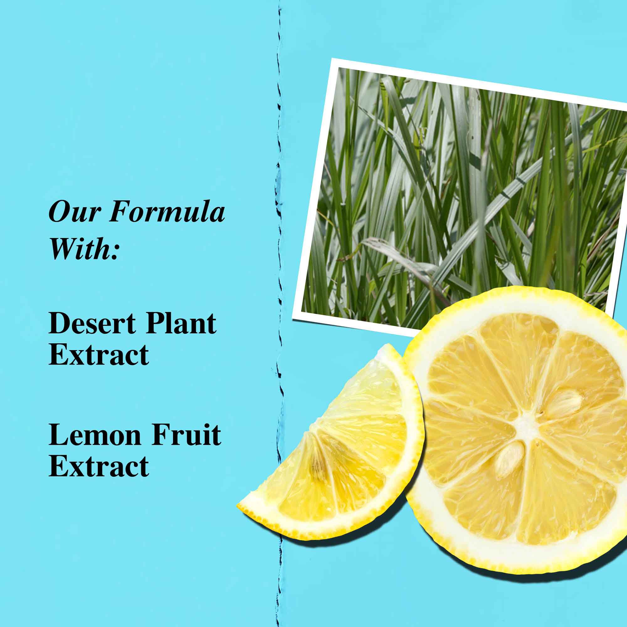 Grafico de ingredientes clave: extracto de planta del desierto y extracto de limon.