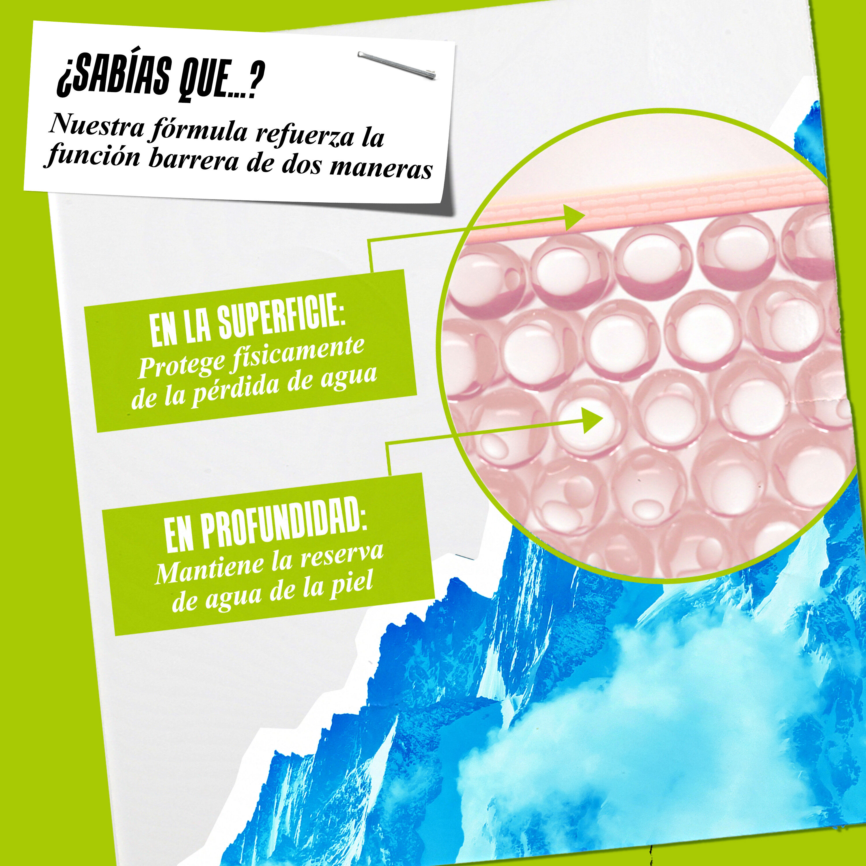 Diagram showing how Ultra Facial Cream protects the skin barrier on the surface and deeper layers.​