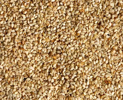 Sesame Seed Oil Kiehl's Ingredient