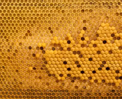 Honey Kiehl's Ingredient