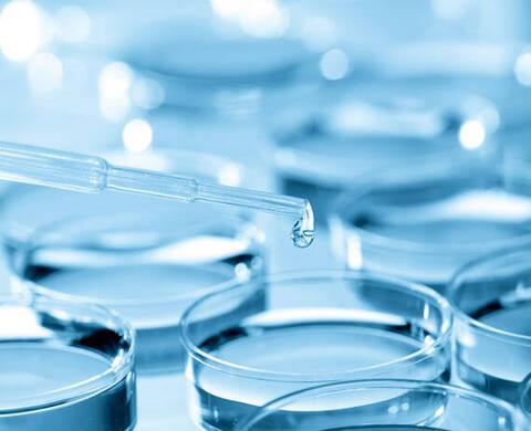 Lipo Hydroxy Acid Kiehl's Ingredient
