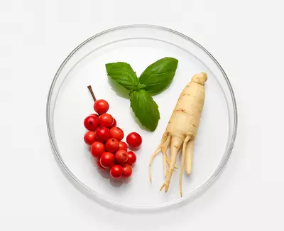Ingrediente Complejo de Hierbas Adaptogenicas Kiehl's