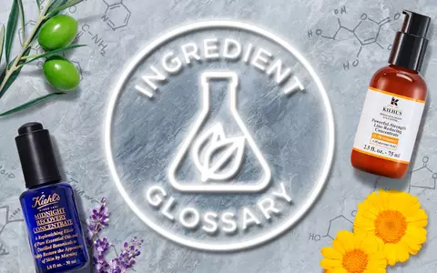 Texto alternativo: Fondo gris con productos de belleza, flores, plantas y ingredientes naturales, junto al texto "INGREDIENT GLOSSARY".