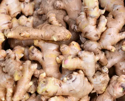 Ginger Root Essential Oil Kiehl's Ingredient