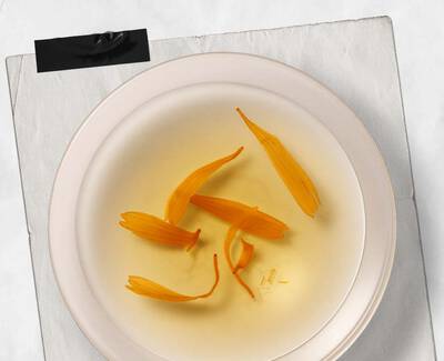 Ingrediente Calendula Kiehl's