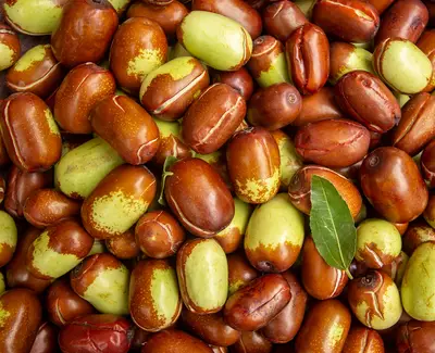 Jojoba Oil Kiehl's Ingredient