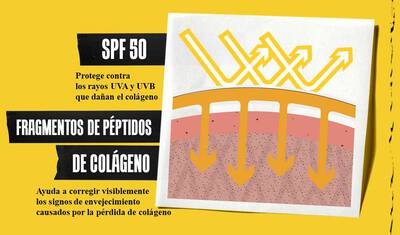  Better Screen UV Serum skin diagram speaking to prevent aging by wearing sunscreen  