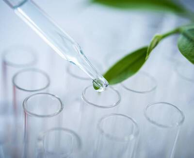 Ingrediente Mezcla Botanica Kiehl's