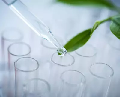 Ingrediente Mezcla Botanica Kiehl's