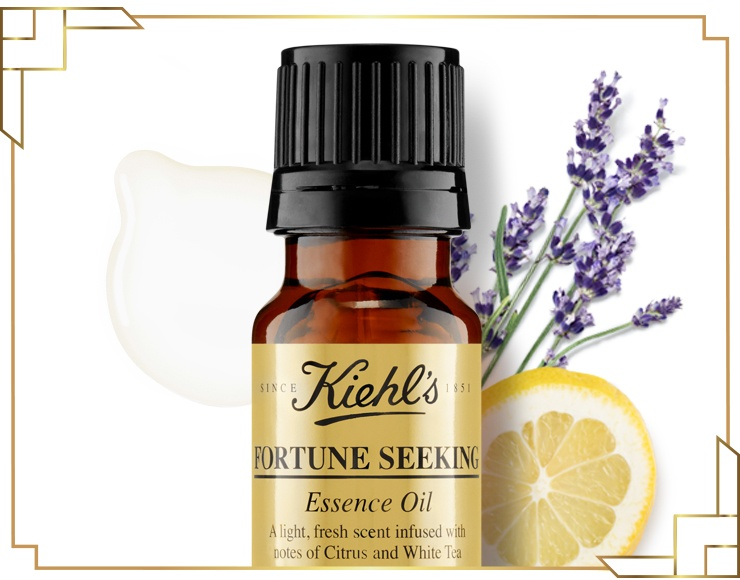 Fortune Seeking Essence Oil