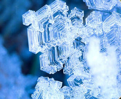 Ingrediente Glicoproteina glacial Kiehl's