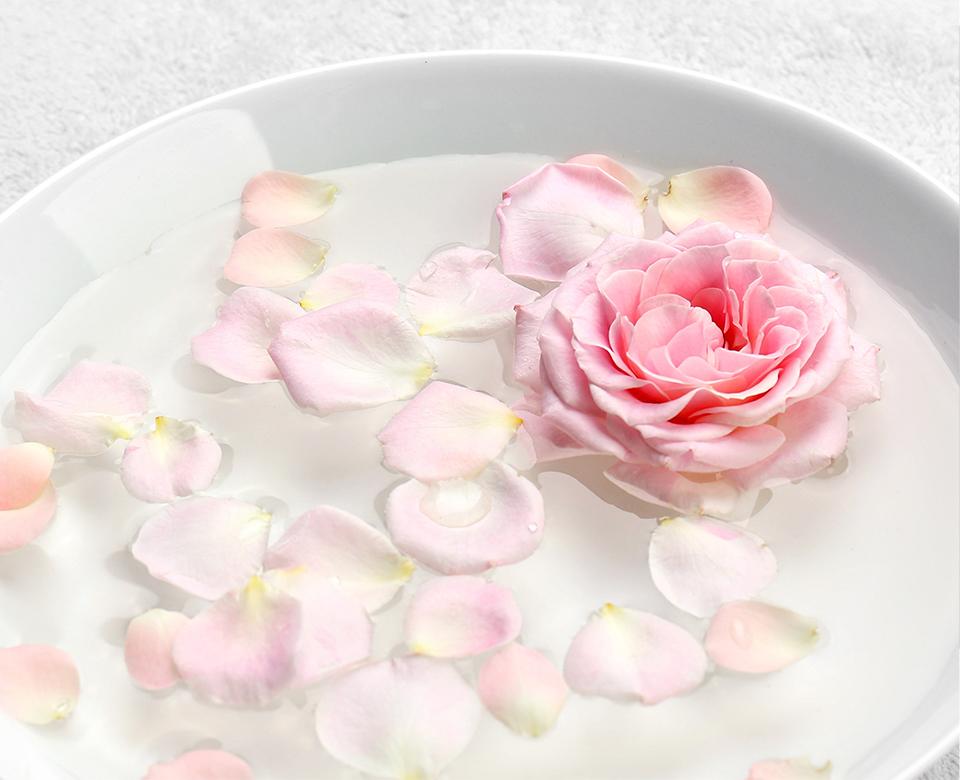Ingredientes agua de rosas