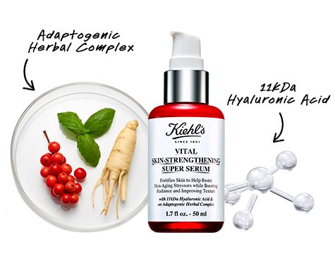 CaléndulaSerum-Infused Water Cream