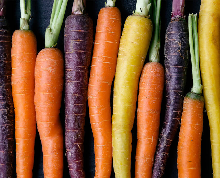 Ingredientes beta caroteno