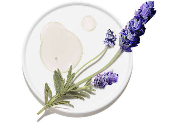 Key Ingredients